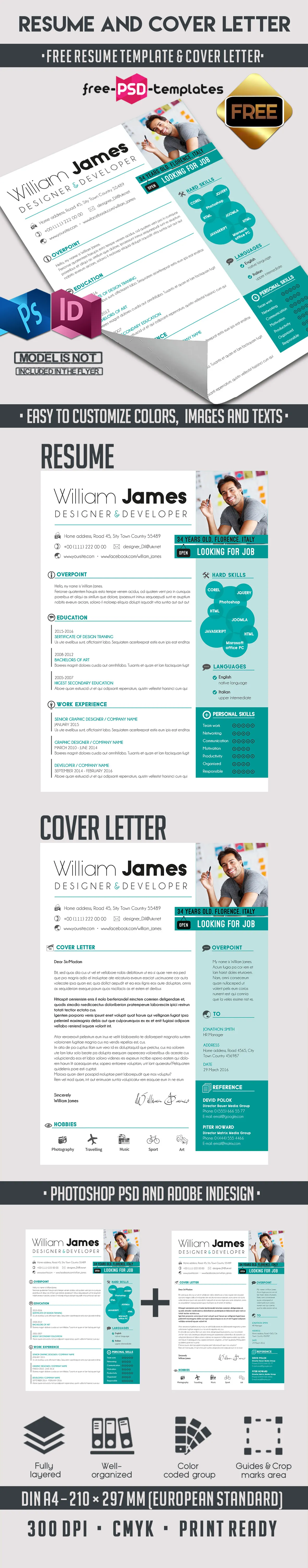 40481 functional resume template