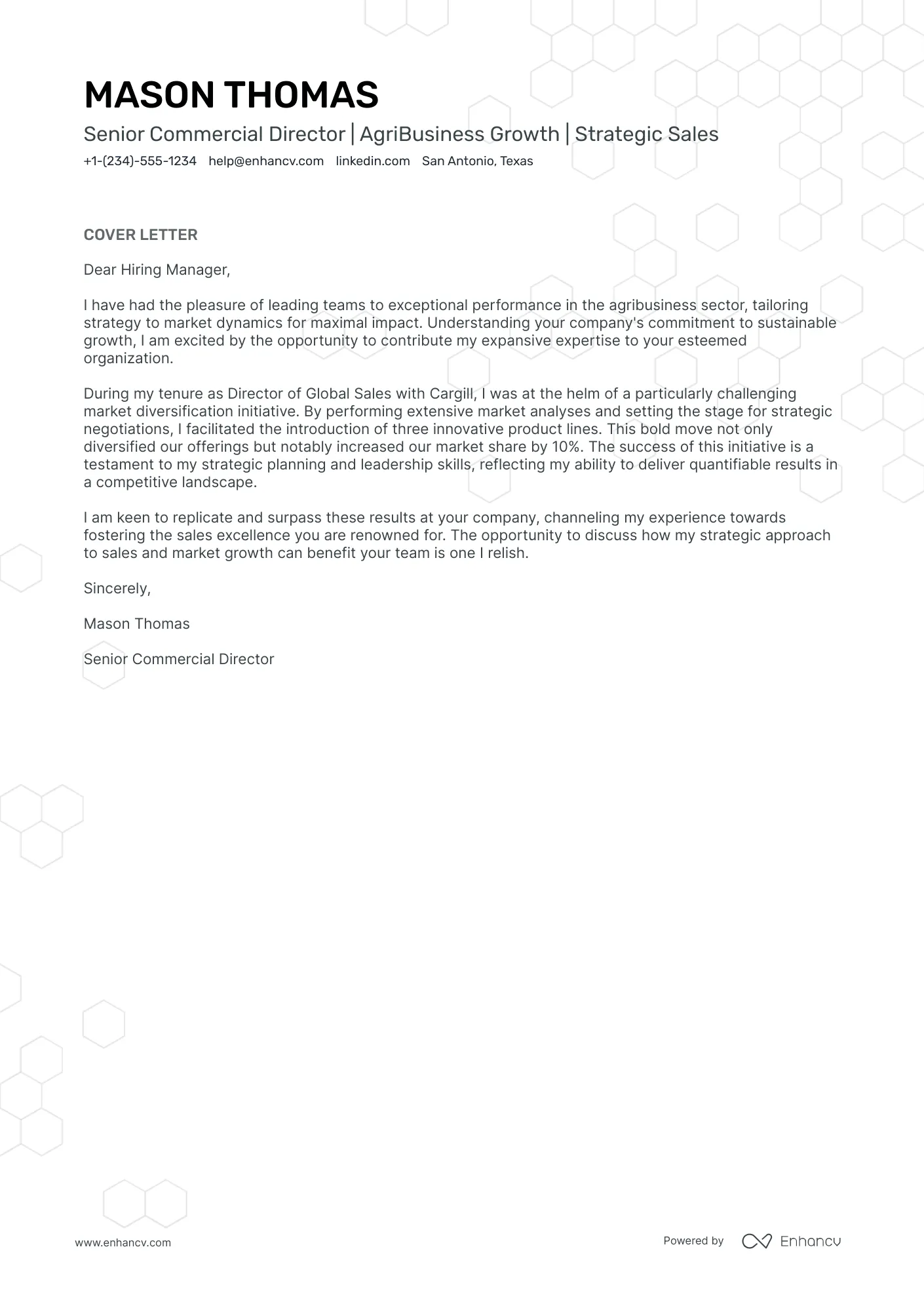 40531 director cover letter skills