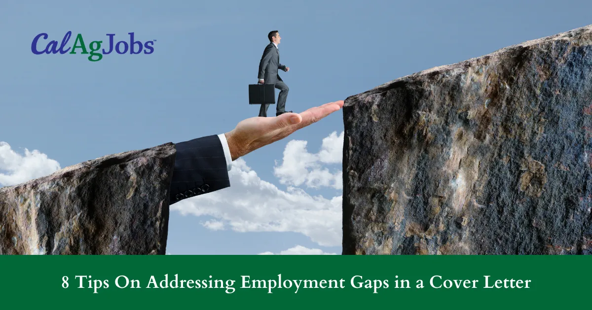 40567 cover letter employment gap example explanation